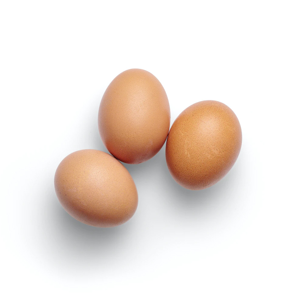 Telur